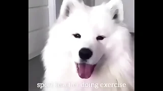 2943 doggystyle porn videos